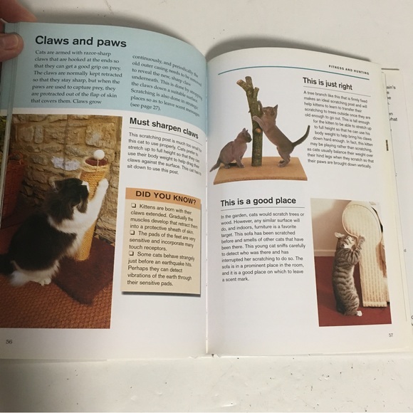 BOOK What is my cat thinking? Essential guide to animal behavior Gwen Ba… - Picture 7 of 11